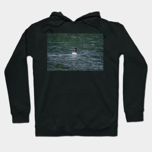 bbs Swan River Hoodie